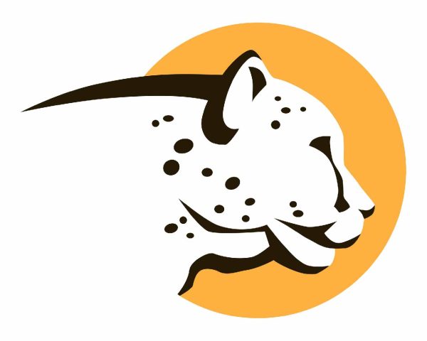 Cheetah Clean Auto Car Wash - The Fastest Car Wash on Land