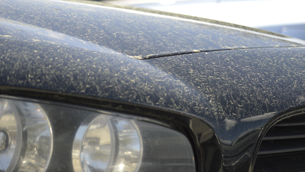 Pollen On Car